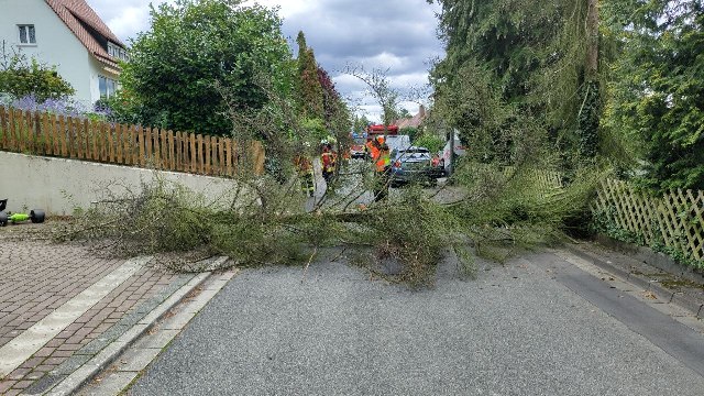 IMG_20230804_170223_566 groß.jpg